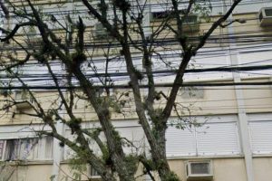 Apartamento à venda com 98m², 3 dormitórios, 1 suíte, 1 vaga no bairro Independência em Porto Alegre - Foto 25