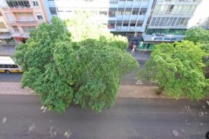 Apartamento à venda com 89m², 3 dormitórios, 1 suíte no bairro Centro Histórico em Porto Alegre - Foto 21