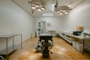 Prédio Comercial à venda com 395m² no bairro Rio Branco em Porto Alegre - Foto 8