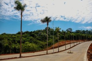 Parque Harmonia - Fase 3 - Foto 23
