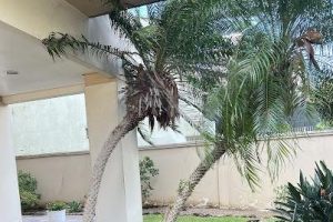 Apartamento à venda com 42m², 1 dormitório no bairro Menino Deus em Porto Alegre - Foto 9