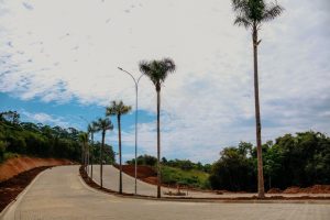 Parque Harmonia - Fase 4 - Foto 24