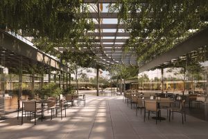 Country Tower - Foto 8