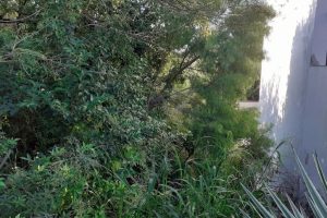 Terreno à venda com 485m² no bairro Ipanema em Porto Alegre - Foto 2