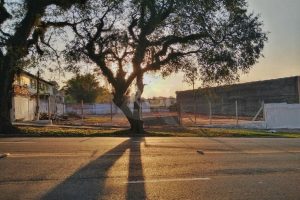 Terreno à venda com 1.248m² no bairro Vila Jardim em Porto Alegre - Foto 2