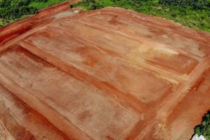 Parque Harmonia - Fase 1 - Foto 18