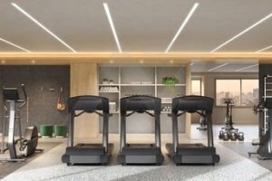 Vista Nova Carlos Gomes - Foto 3