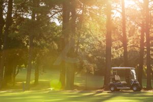 Alameda Jardins Residências do Golfe - Foto 26