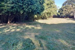 Terreno à venda com 1.000m² no bairro Camaquã em Porto Alegre - Foto 5