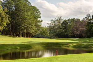 Alameda Jardins Residências do Golfe - Foto 27