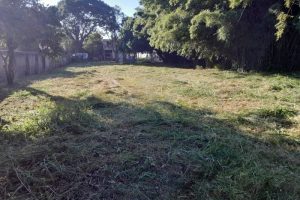 Terreno à venda com 1.000m² no bairro Camaquã em Porto Alegre - Foto 4