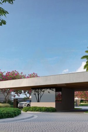 Mirador Playa Arenas