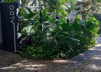Apartamento à venda com 55m², 2 dormitórios, 1 suíte, 1 vaga no bairro Petrópolis em Porto Alegre